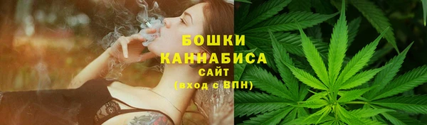 ГАЛЛЮЦИНОГЕННЫЕ ГРИБЫ Карпинск